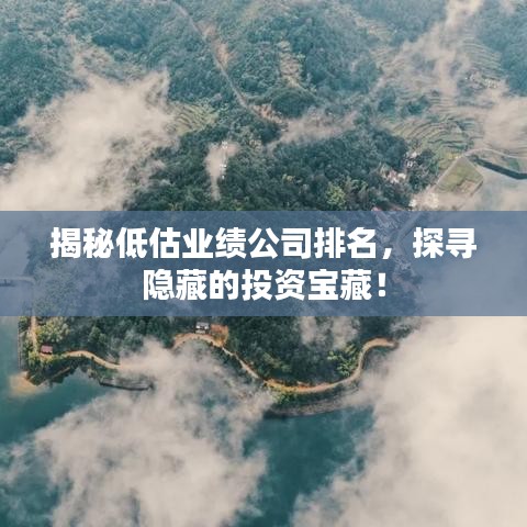 揭秘低估业绩公司排名,探寻隐藏的投资宝藏!