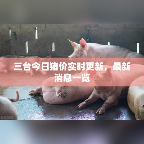 三台今日猪价实时更新，最新消息一览