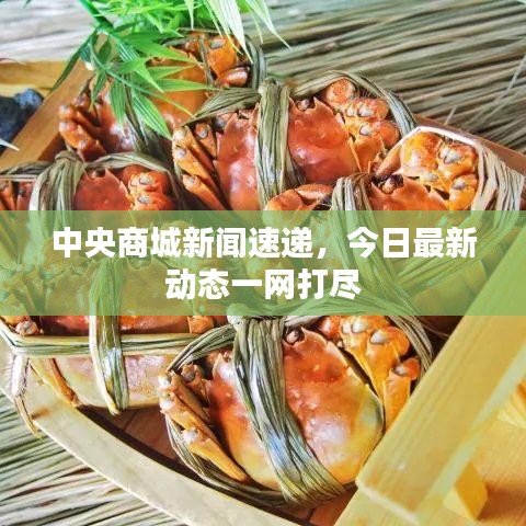 中央商城新闻速递,今日最新动态一网打尽