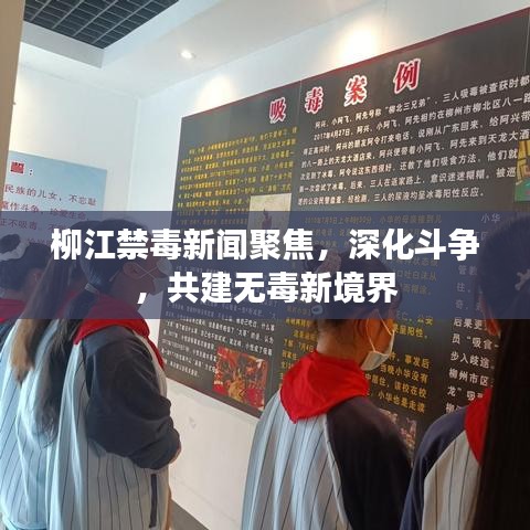 柳江禁毒新闻聚焦，深化斗争，共建无毒新境界