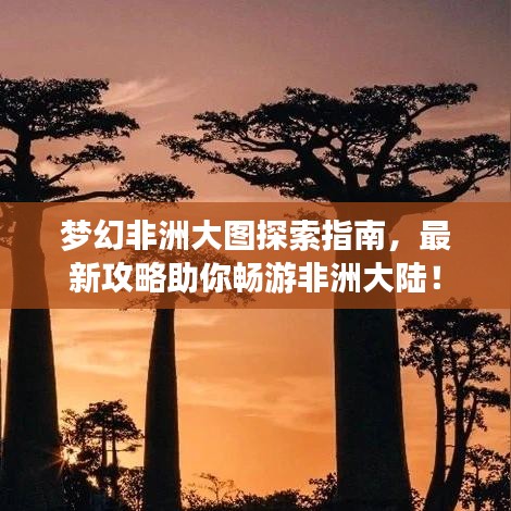 梦幻非洲大图探索指南,最新攻略助你畅游非洲大陆!