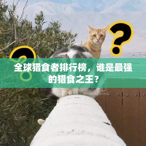全球猎食者排行榜，谁是最强的猎食之王？