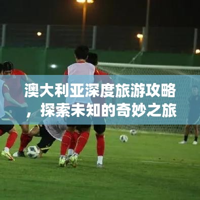 澳大利亚深度旅游攻略，探索未知的奇妙之旅