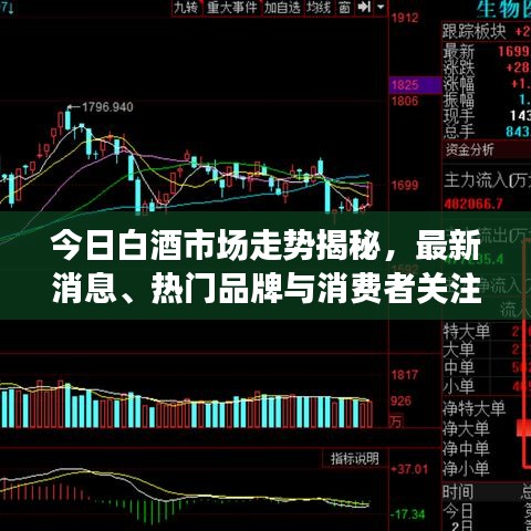 今日白酒市场走势揭秘，最新消息、热门品牌与消费者关注点全解析