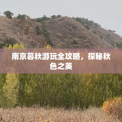 南京暮秋游玩全攻略,探秘秋色之美