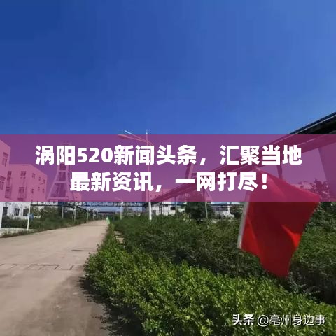涡阳520新闻头条，汇聚当地最新资讯，一网打尽！