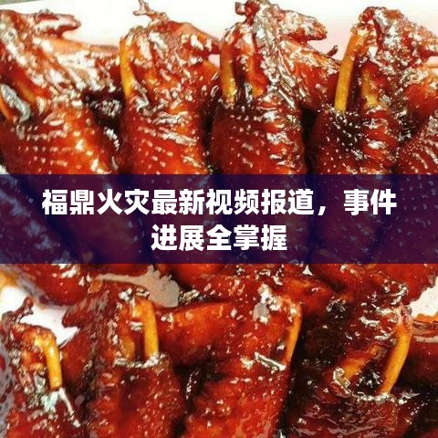 福鼎火灾最新视频报道,事件进展全掌握