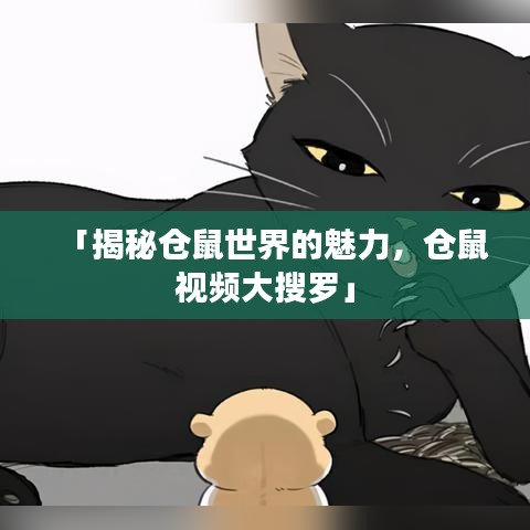 「揭秘仓鼠世界的魅力，仓鼠视频大搜罗」