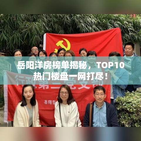 岳阳洋房榜单揭秘，TOP10热门楼盘一网打尽！