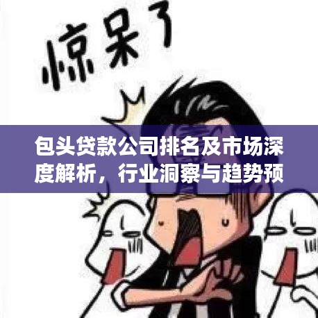 包头贷款公司排名及市场深度解析，行业洞察与趋势预测