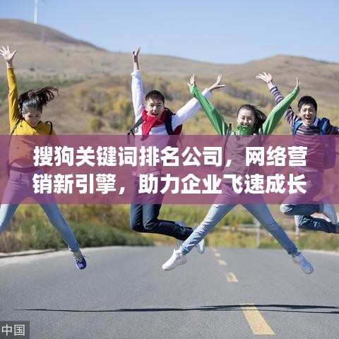 搜狗关键词排名公司,网络营销新引擎,助力企业飞速成长