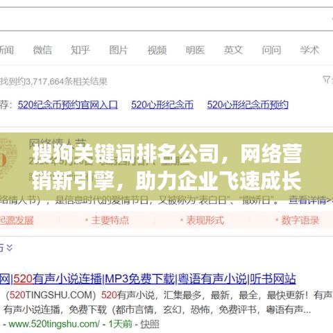 搜狗关键词排名公司,网络营销新引擎,助力企业飞速成长