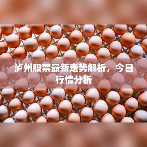 泸州股票最新走势解析,今日行情分析