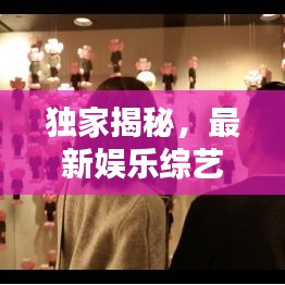 独家揭秘,最新娱乐综艺精华片段,免费观看全攻略!