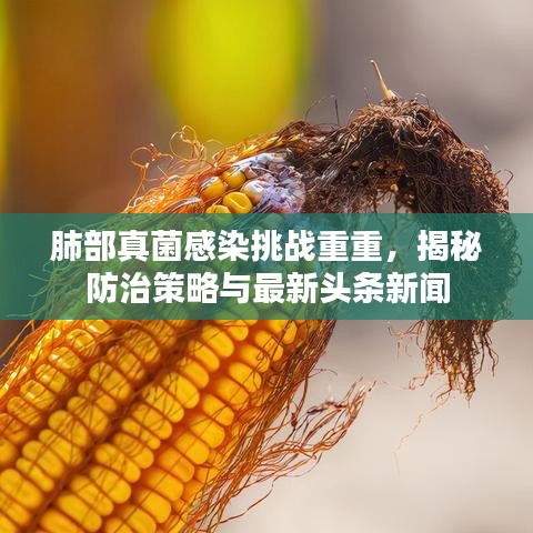肺部真菌感染挑战重重，揭秘防治策略与最新头条新闻