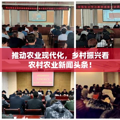 推动农业现代化,乡村振兴看农村农业新闻头条!