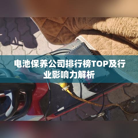 电池保养公司排行榜TOP及行业影响力解析