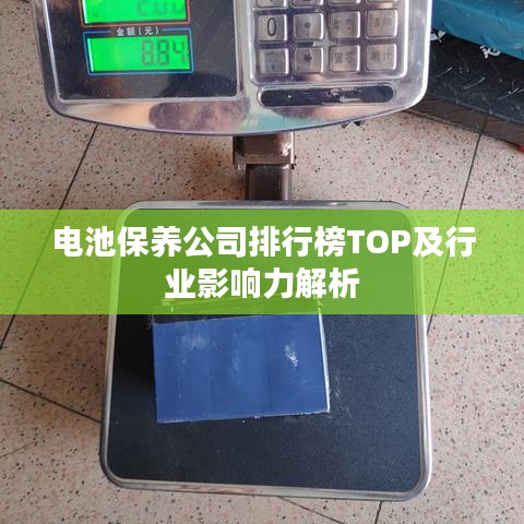 电池保养公司排行榜TOP及行业影响力解析