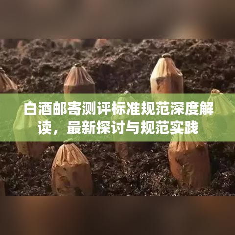 白酒邮寄测评标准规范深度解读，最新探讨与规范实践
