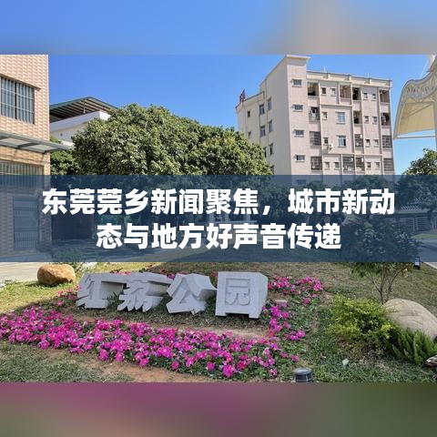 东莞莞乡新闻聚焦，城市新动态与地方好声音传递