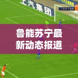 鲁能苏宁最新动态报道，今日消息一览