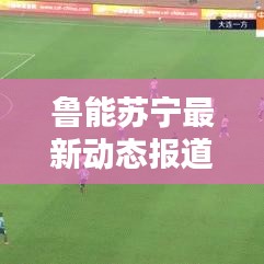 鲁能苏宁最新动态报道,今日消息一览