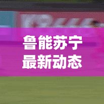 鲁能苏宁最新动态报道,今日消息一览