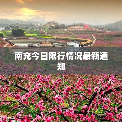 南充今日限行情况最新通知