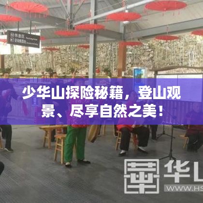 少华山探险秘籍，登山观景、尽享自然之美！