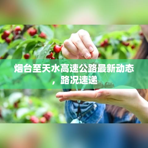 烟台至天水高速公路最新动态，路况速递