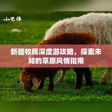 新疆牧民深度游攻略,探索未知的草原风情指南