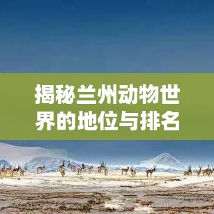 揭秘兰州动物世界的地位与排名,吸引你的目光!
