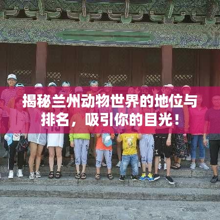 揭秘兰州动物世界的地位与排名,吸引你的目光!