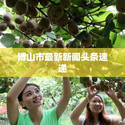 博山市最新新闻头条速递