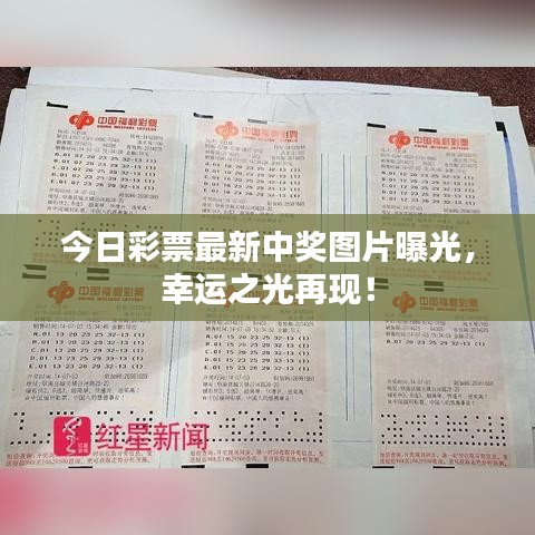 今日彩票最新中奖图片曝光,幸运之光再现!