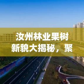 汝州林业果树新貌大揭秘，聚焦林业发展，引领果树创新潮流