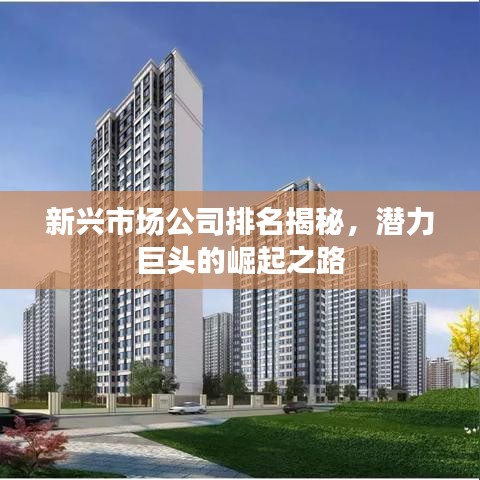 新兴市场公司排名揭秘,潜力巨头的崛起之路