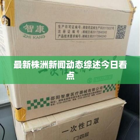 最新株洲新闻动态综述今日看点