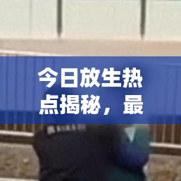 今日放生热点揭秘,最新消息汇总