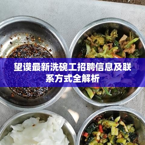 望谟最新洗碗工招聘信息及联系方式全解析
