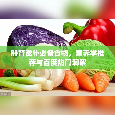 肝肾滋补必备食物,营养学推荐与百度热门洞察