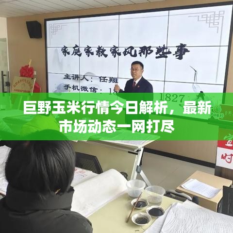 巨野玉米行情今日解析，最新市场动态一网打尽