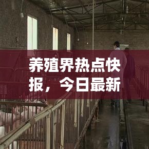 养殖界热点快报，今日最新养殖信息汇总