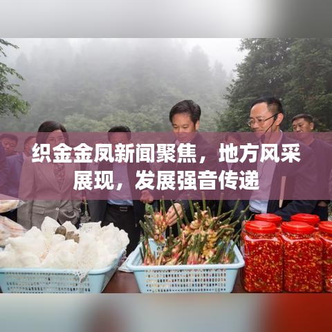 织金金凤新闻聚焦,地方风采展现,发展强音传递