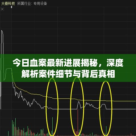 今日血案最新进展揭秘,深度解析案件细节与背后真相