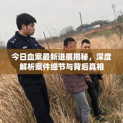 今日血案最新进展揭秘,深度解析案件细节与背后真相