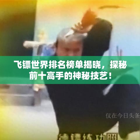 飞镖世界排名榜单揭晓，探秘前十高手的神秘技艺！