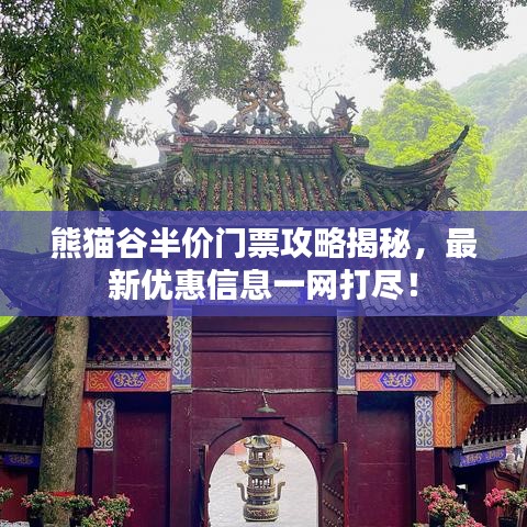 熊猫谷半价门票攻略揭秘，最新优惠信息一网打尽！