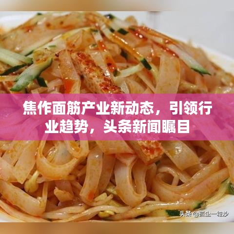 焦作面筋产业新动态，引领行业趋势，头条新闻瞩目
