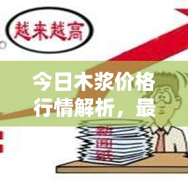 今日木浆价格行情解析，最新动态、影响因素全解析